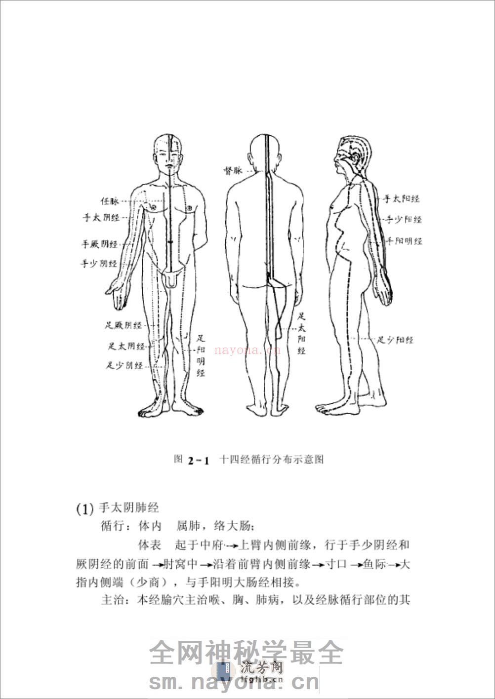 发泡疗法 - 第20页预览图