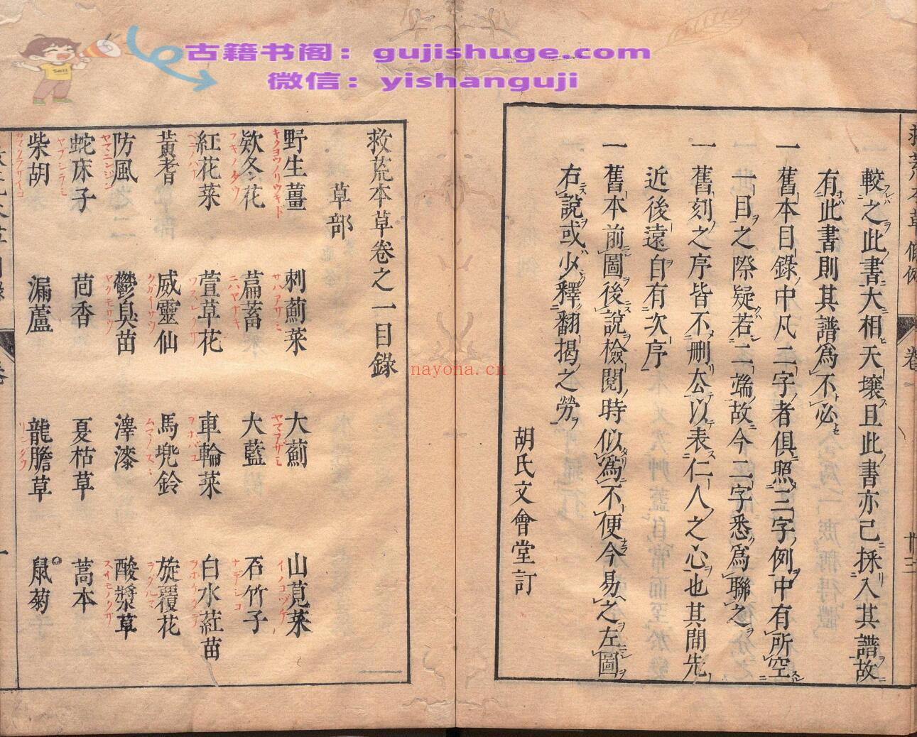 周宪王救荒本草 徐光启 王磐 明刊本