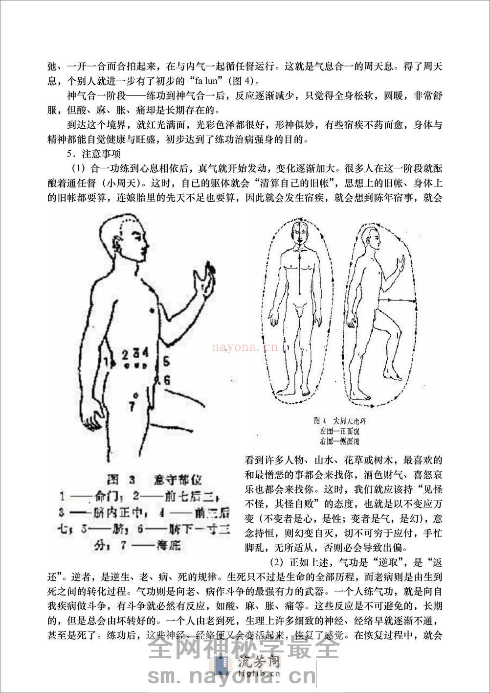 [虚实静功人元阶段].伍止渊.文字版(1) - 第11页预览图