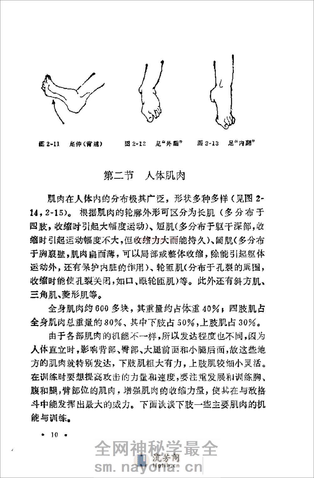 腿法 - 第13页预览图