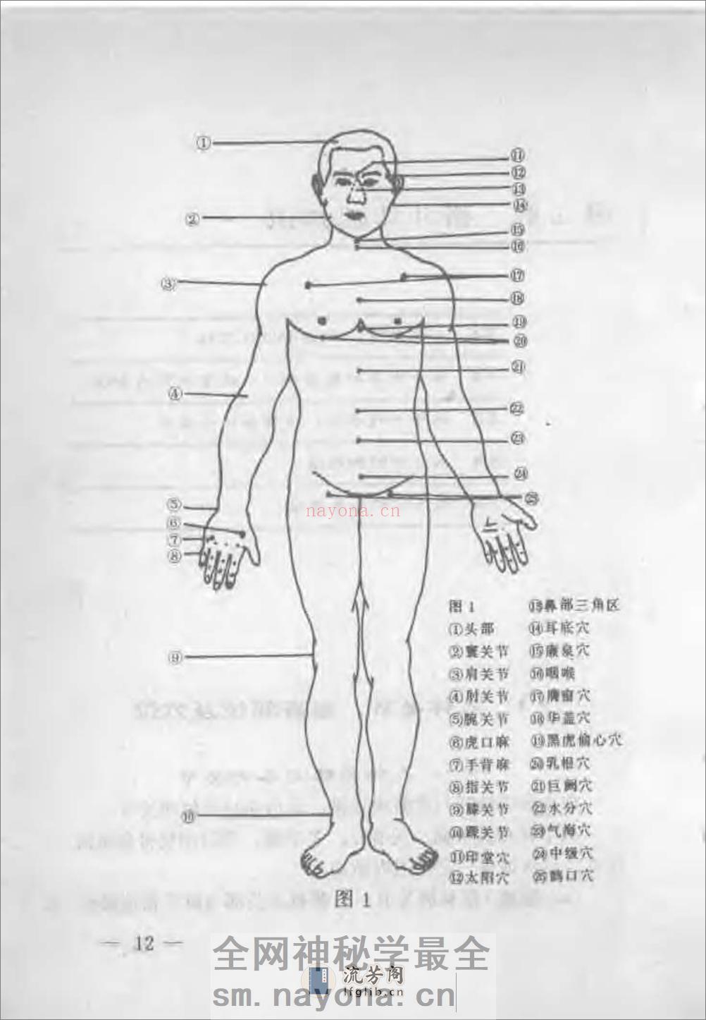 《军警实用格斗术（上）：基本技术部分》王卫东 - 第16页预览图