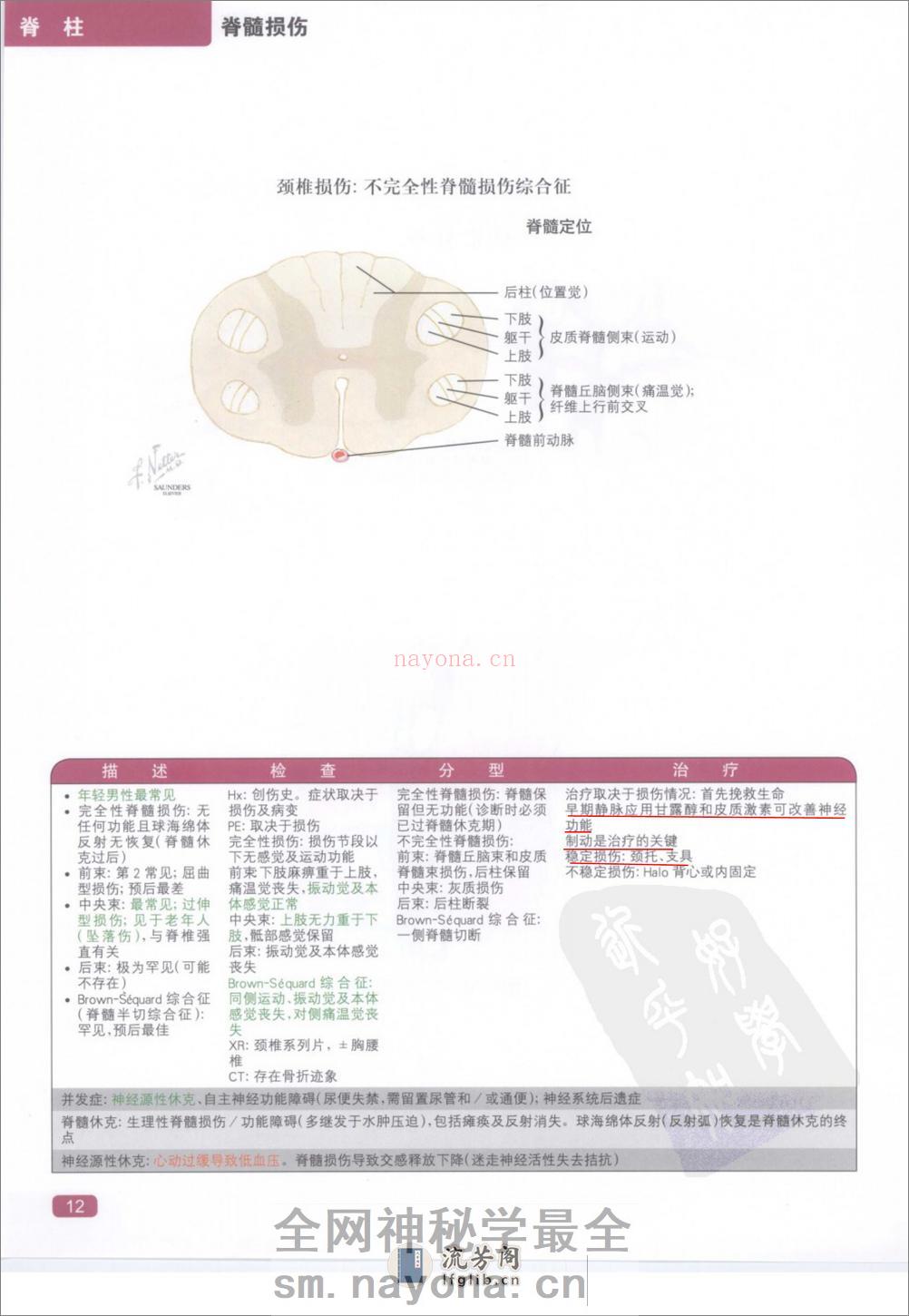奈特简明骨科学彩色图谱（高清中文版） - 第20页预览图