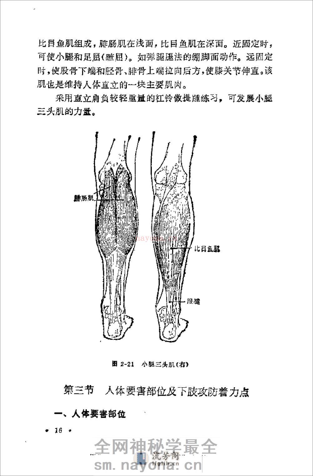 腿法 - 第19页预览图