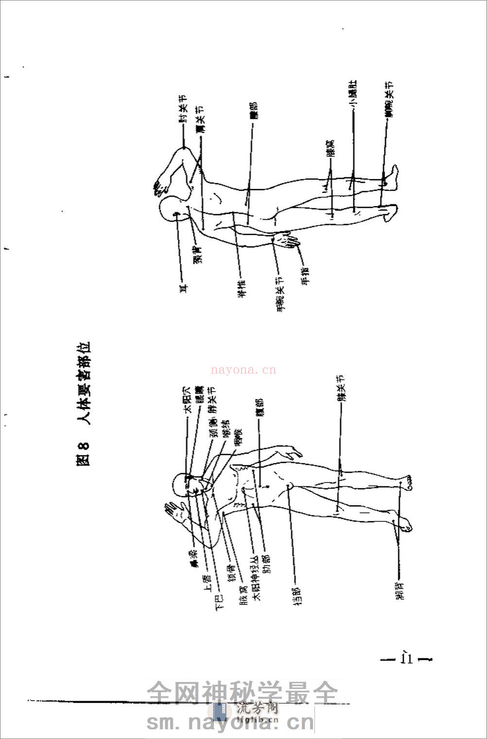 军通用格斗教材《一招制敌》（完整中文版）54年 - 第20页预览图