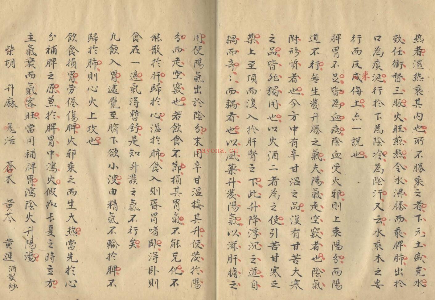 《四大名医精华》