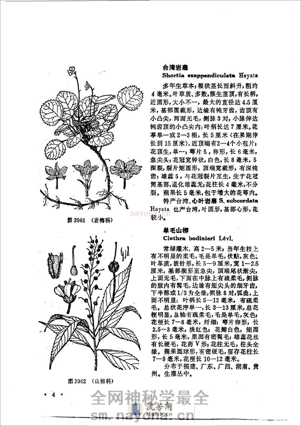 中国高等植物图鉴.第三册 - 第10页预览图