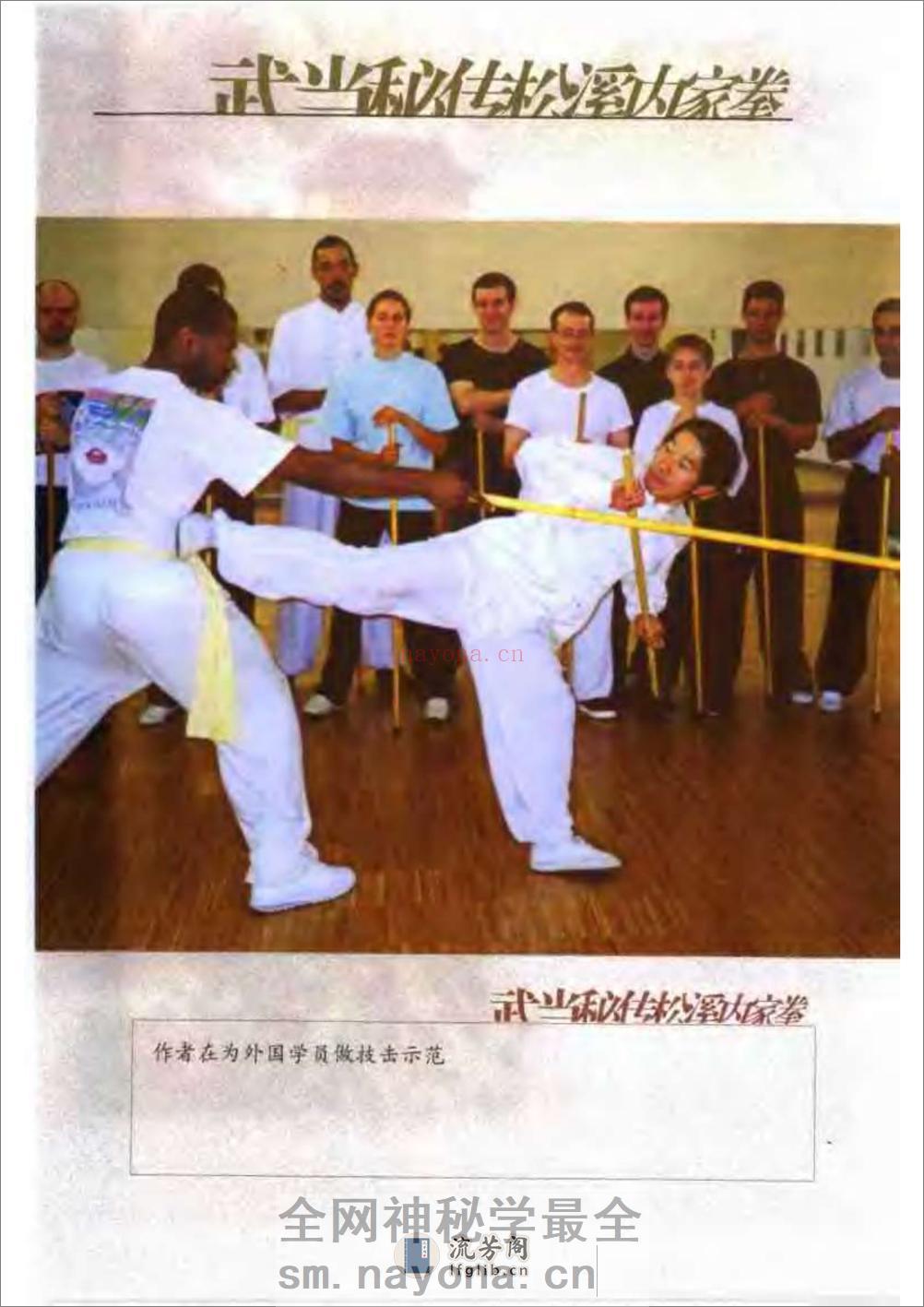 《武当秘传松溪内家拳（下册）》游明生 - 第12页预览图
