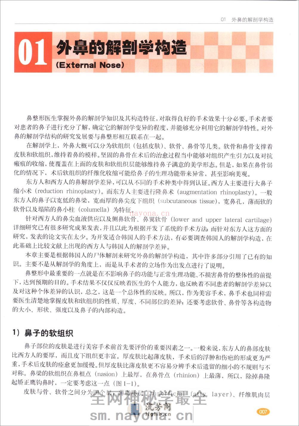 现代韩国鼻整形 - 第9页预览图