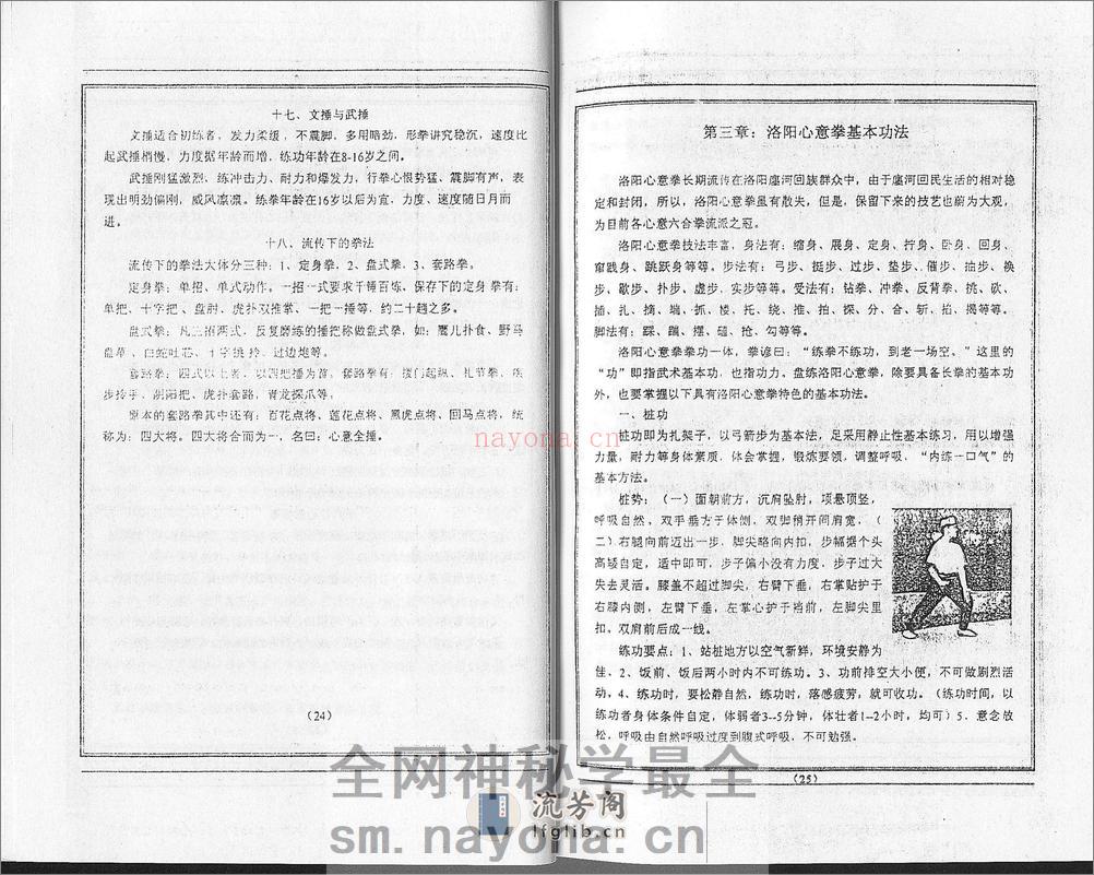 《洛阳心意拳》孙友恒 - 第11页预览图
