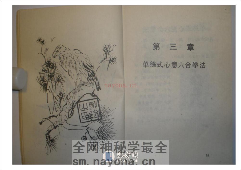 《心意六合拳》李新民 - 第15页预览图