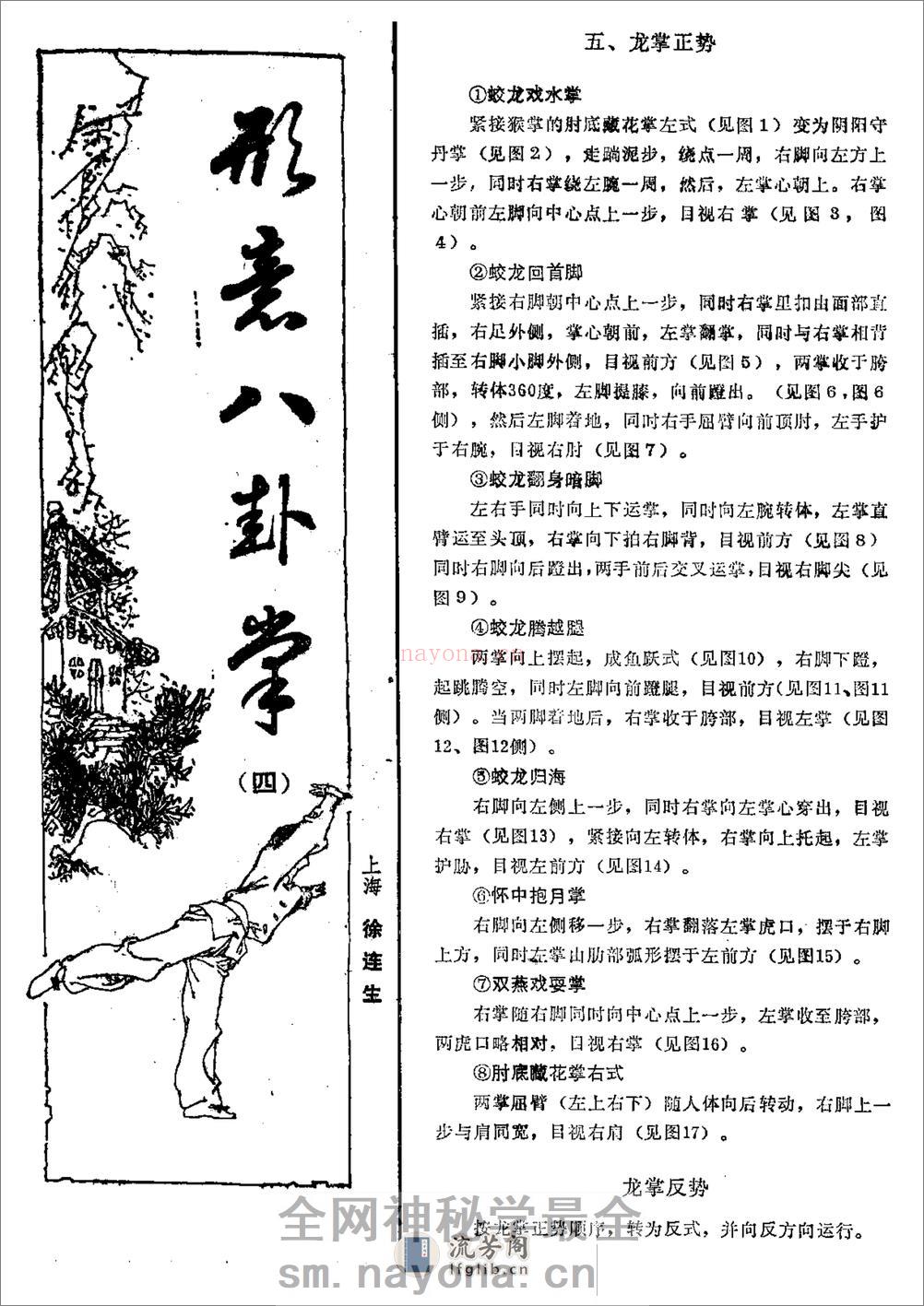 《形意八卦掌》徐连生 - 第9页预览图