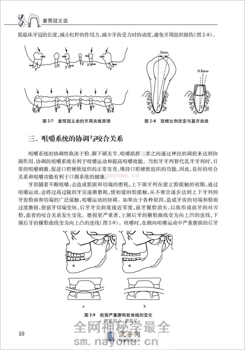 套筒冠义齿 - 第18页预览图