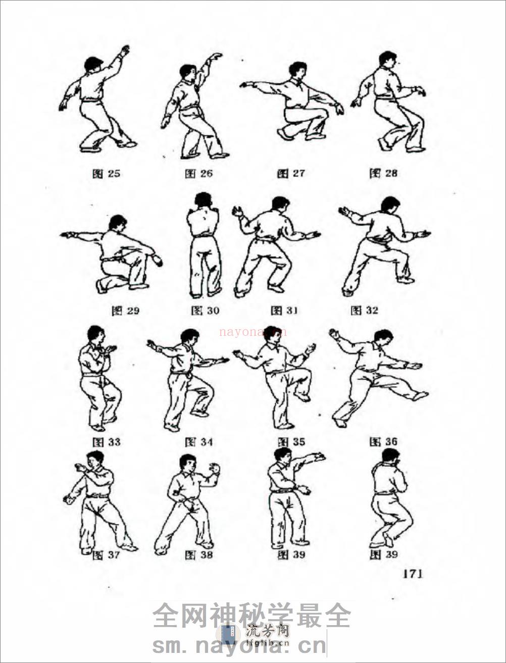 [浑元金手捶].范克平 - 第7页预览图