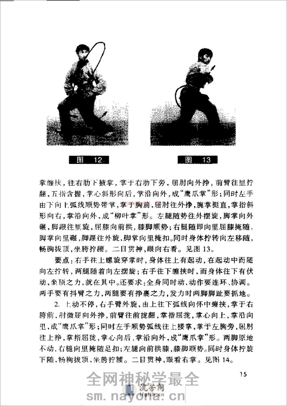 《阴阳八卦掌·狮形掌》田迴、田克延 - 第17页预览图