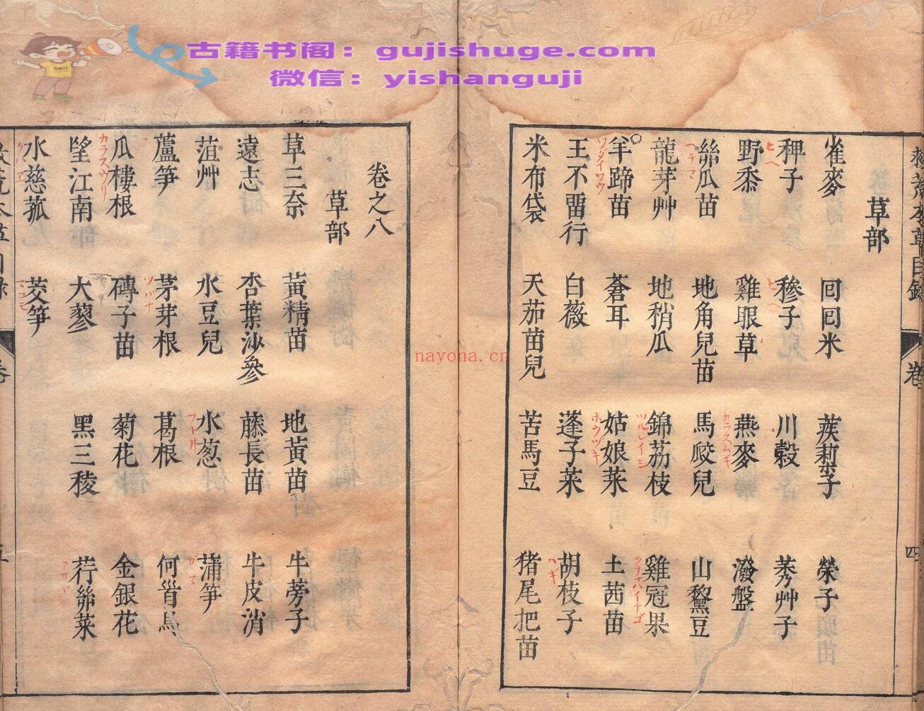 周宪王救荒本草 徐光启 王磐 明刊本