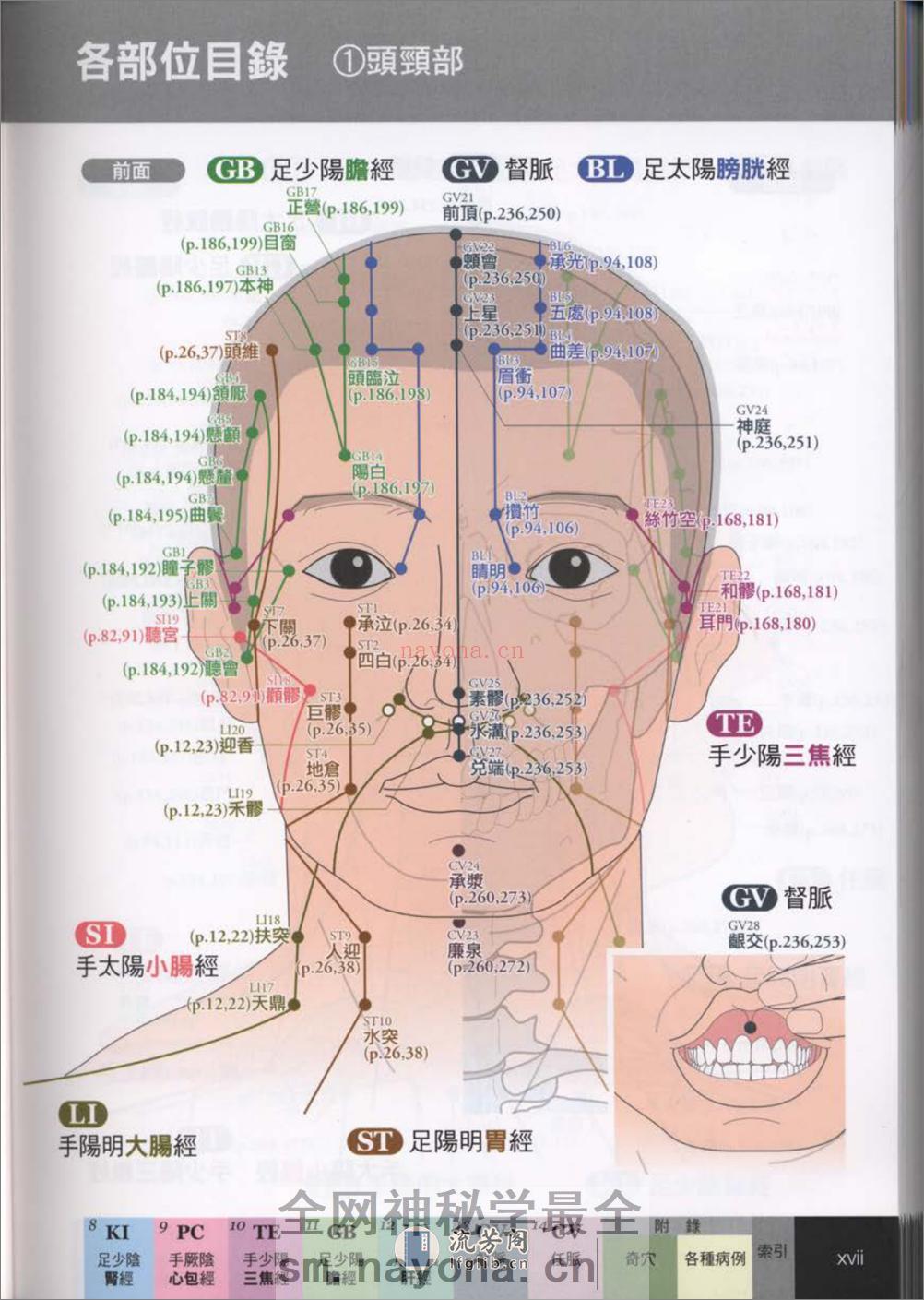 经穴大全 超科学 3D经穴解剖全书--台版-01 - 第19页预览图