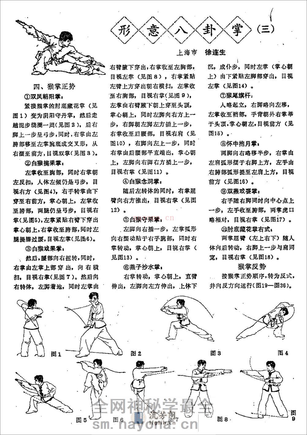 《形意八卦掌》徐连生 - 第7页预览图