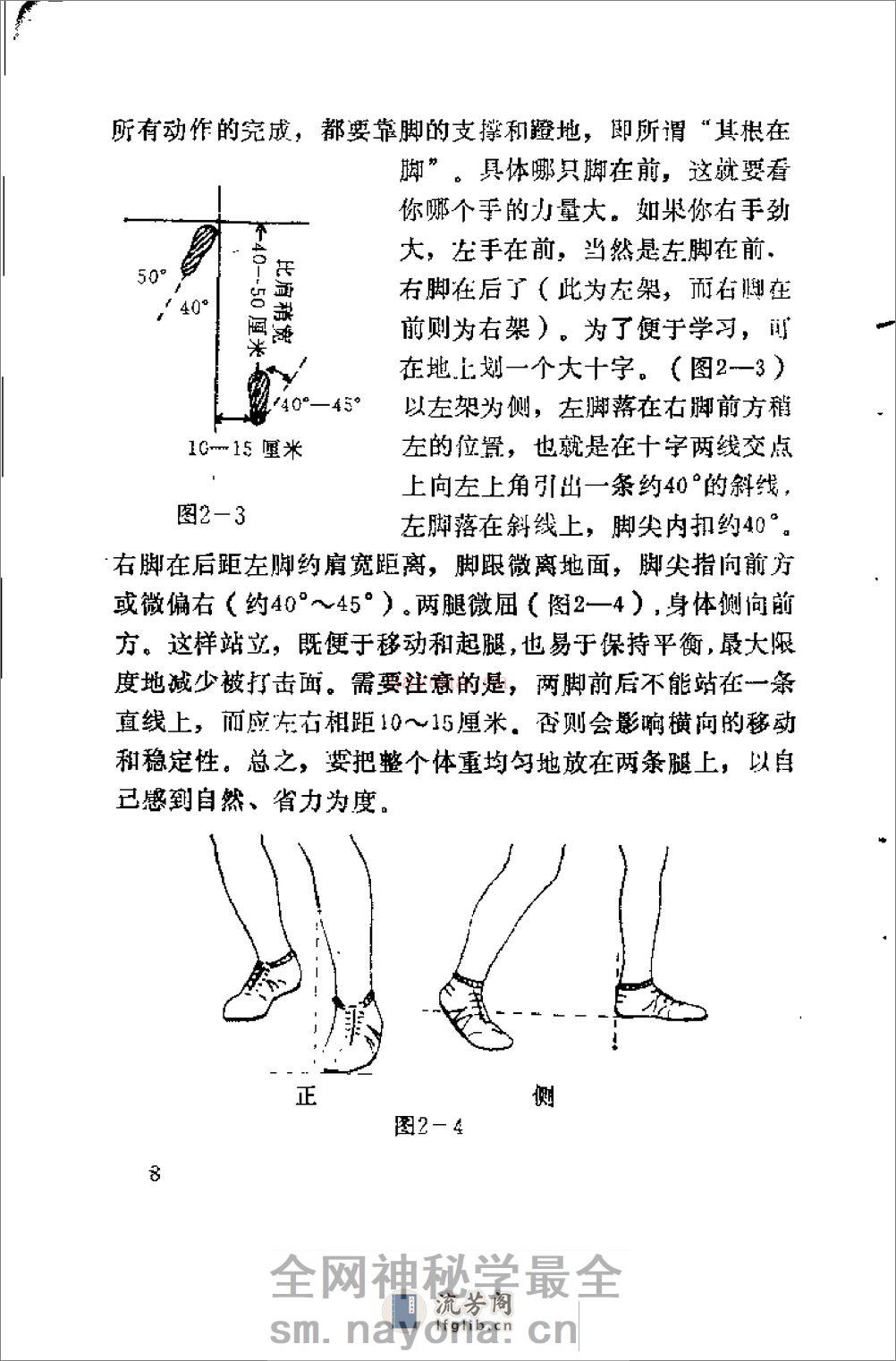 中华搏击术：武术散手精粹（习云泰） - 第13页预览图