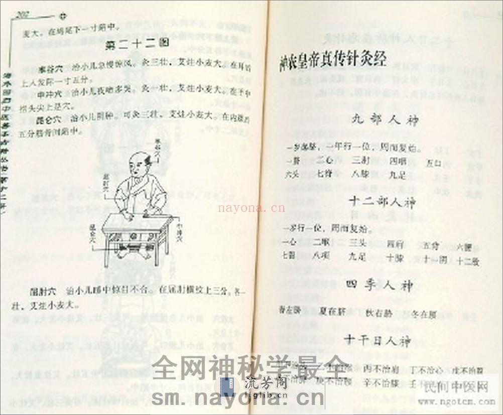 神农皇帝针灸图 - 第15页预览图