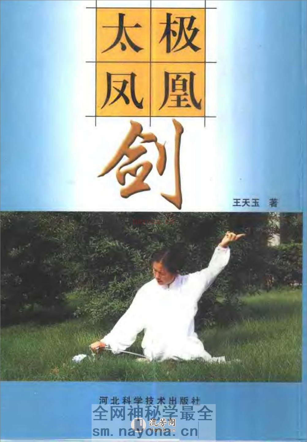 《太极凤凰剑》王天玉 - 第1页预览图