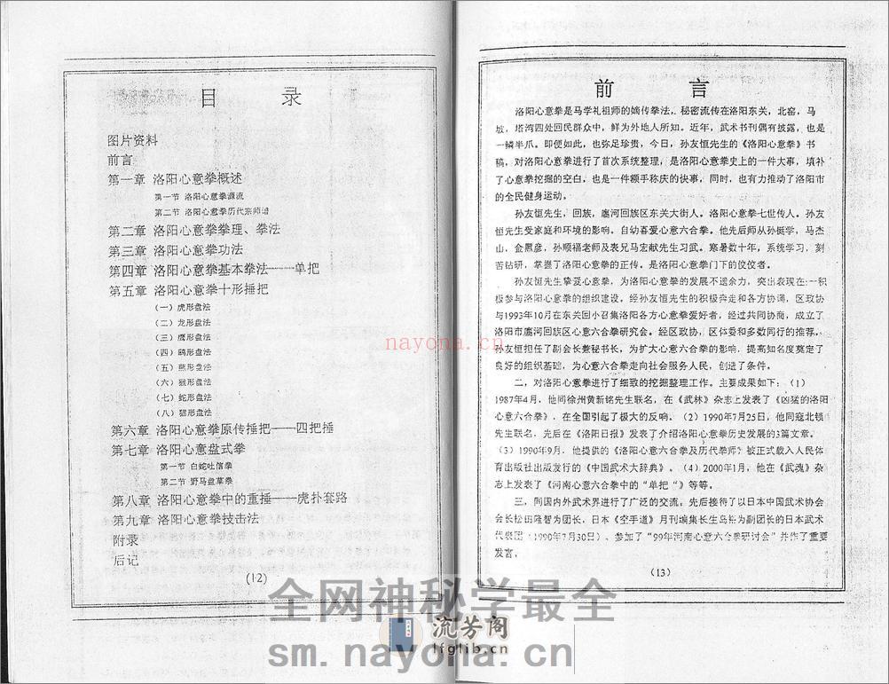 《洛阳心意拳》孙友恒 - 第5页预览图