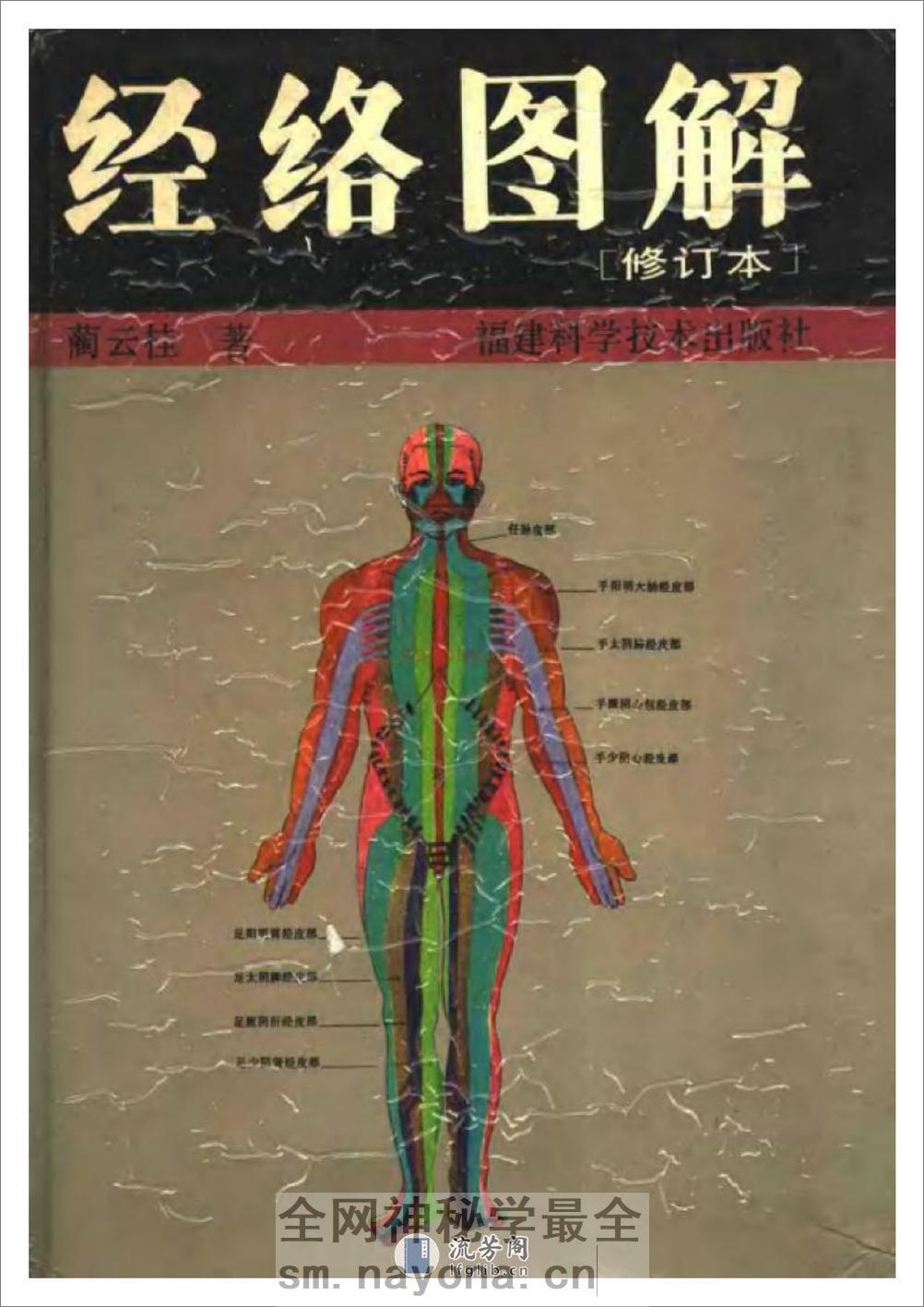 蔺云桂  《经络图解》(修订本) - 第1页预览图