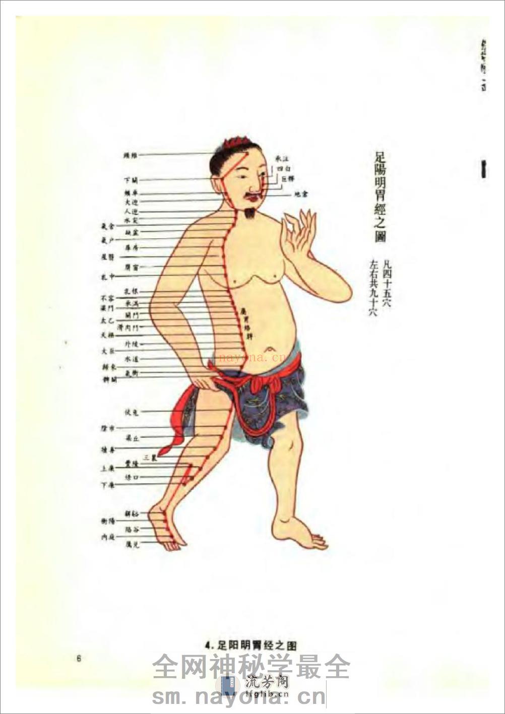 蔺云桂  《经络图解》(修订本) - 第18页预览图