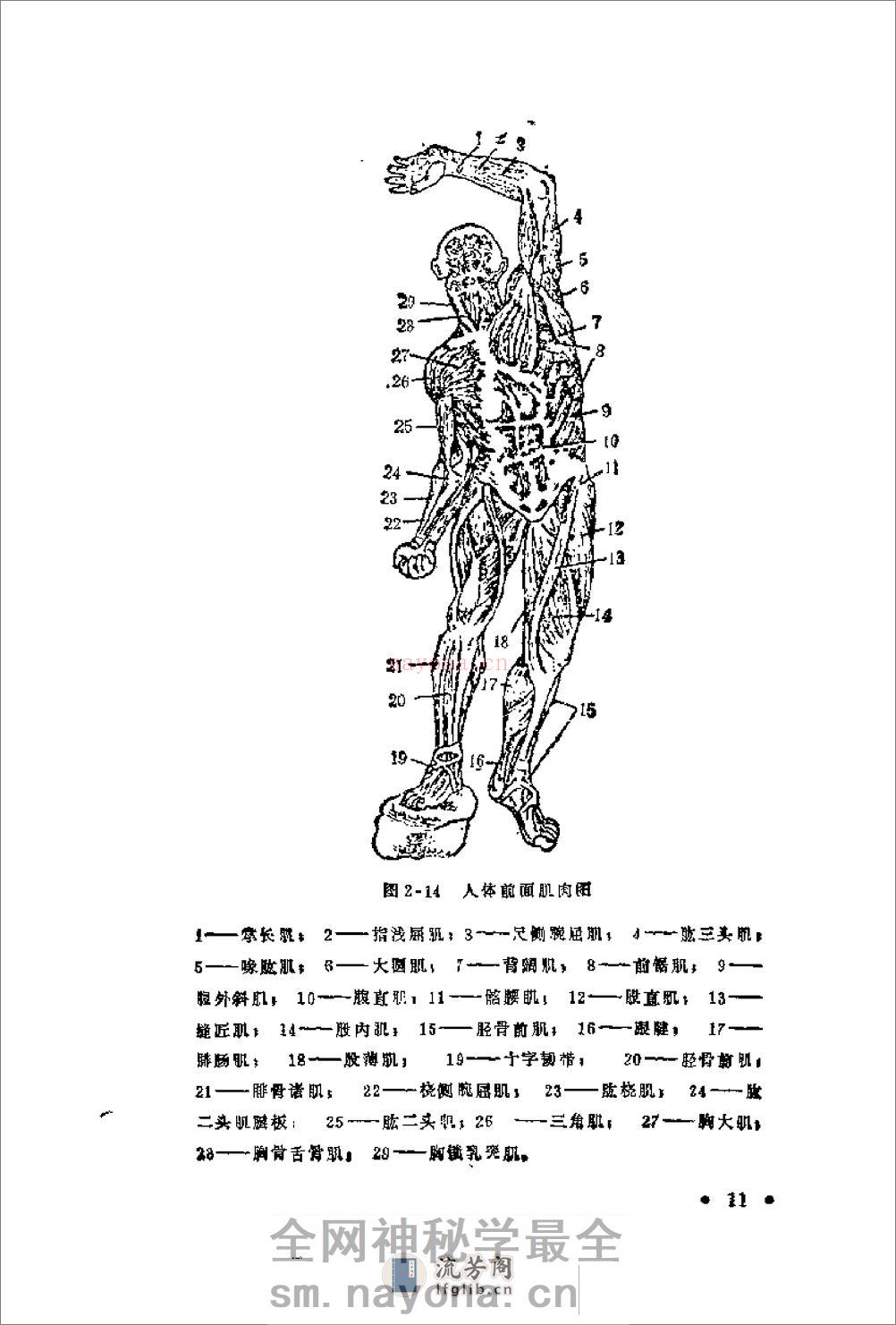 腿法 - 第14页预览图