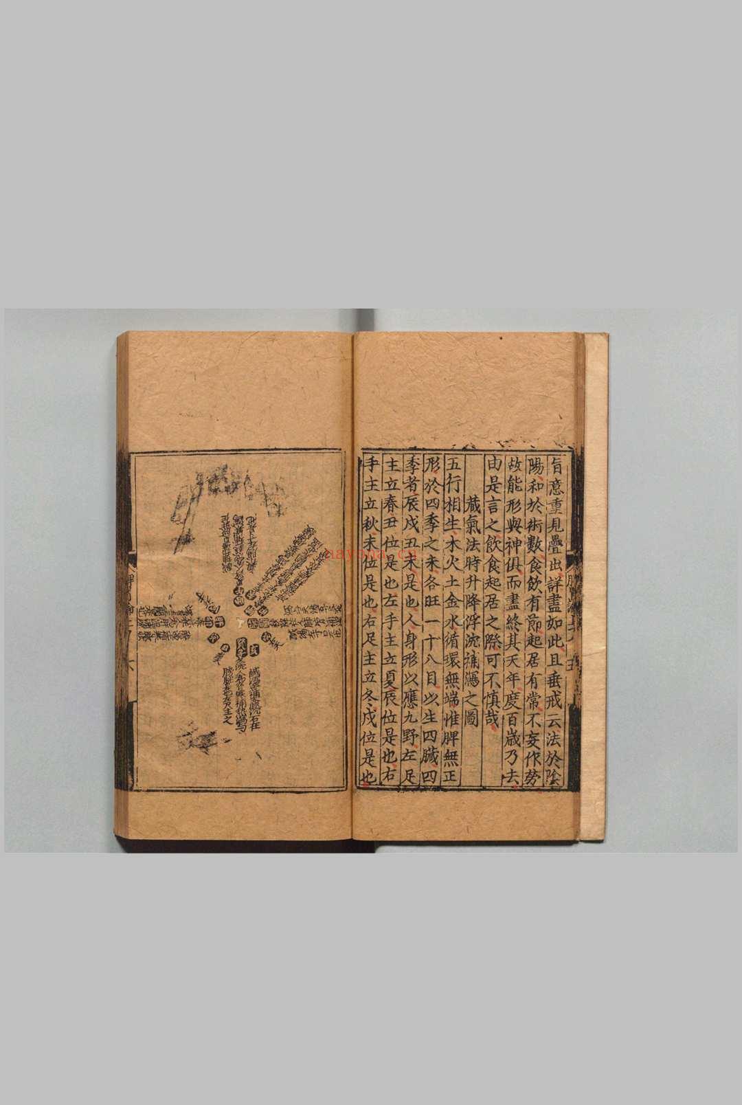 东垣十书 李杲(元)王好古(元)明正德3年 , 熊氏梅隠书堂