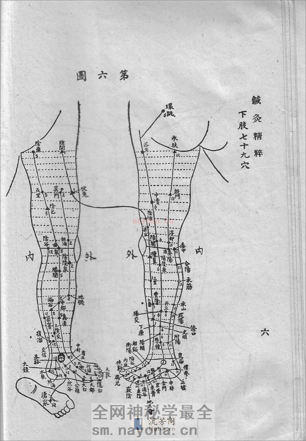 针灸精粹 - 第12页预览图