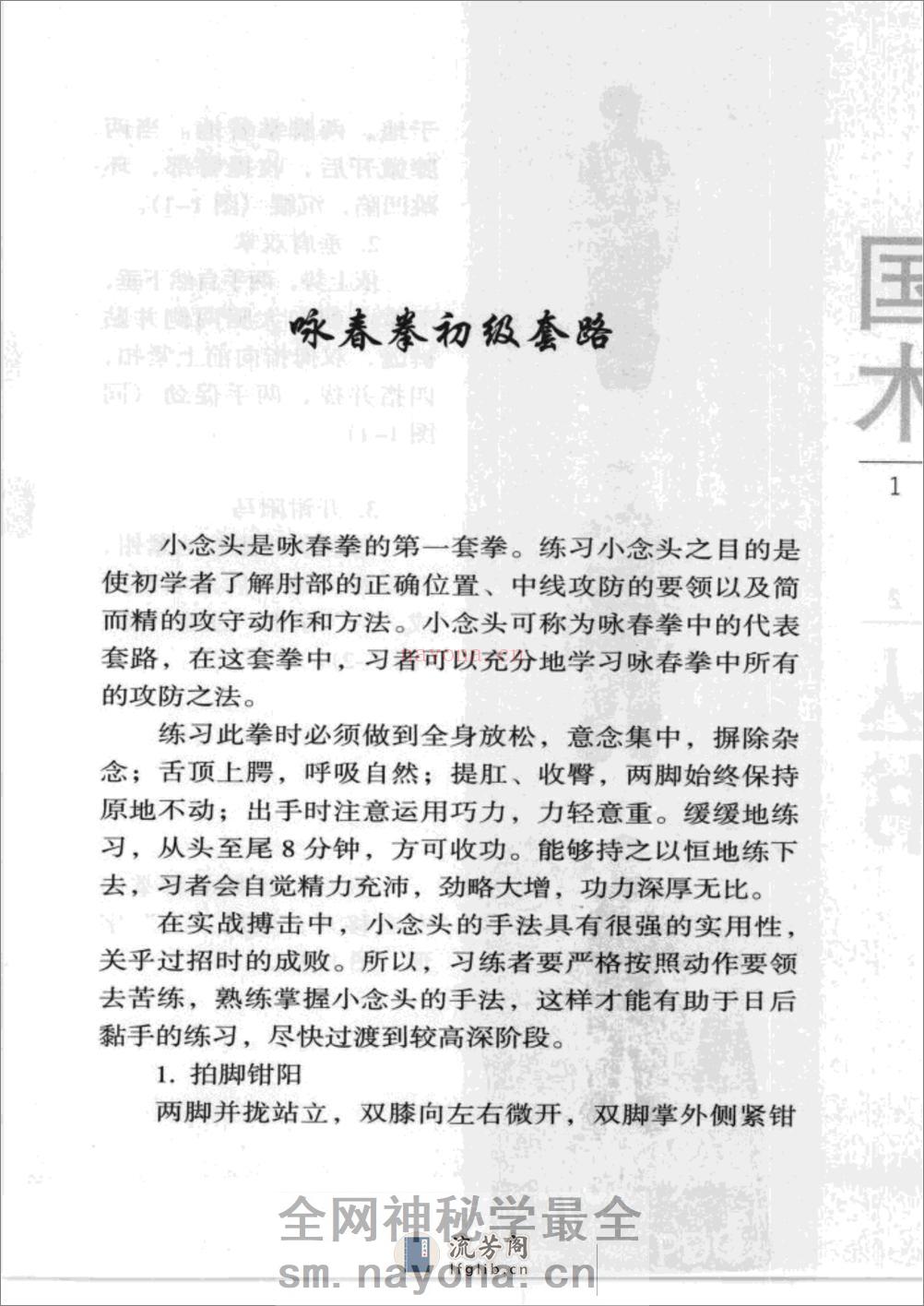 《咏春拳——小念头》韩广玖 - 第9页预览图