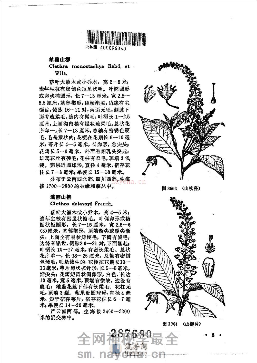 中国高等植物图鉴.第三册 - 第11页预览图