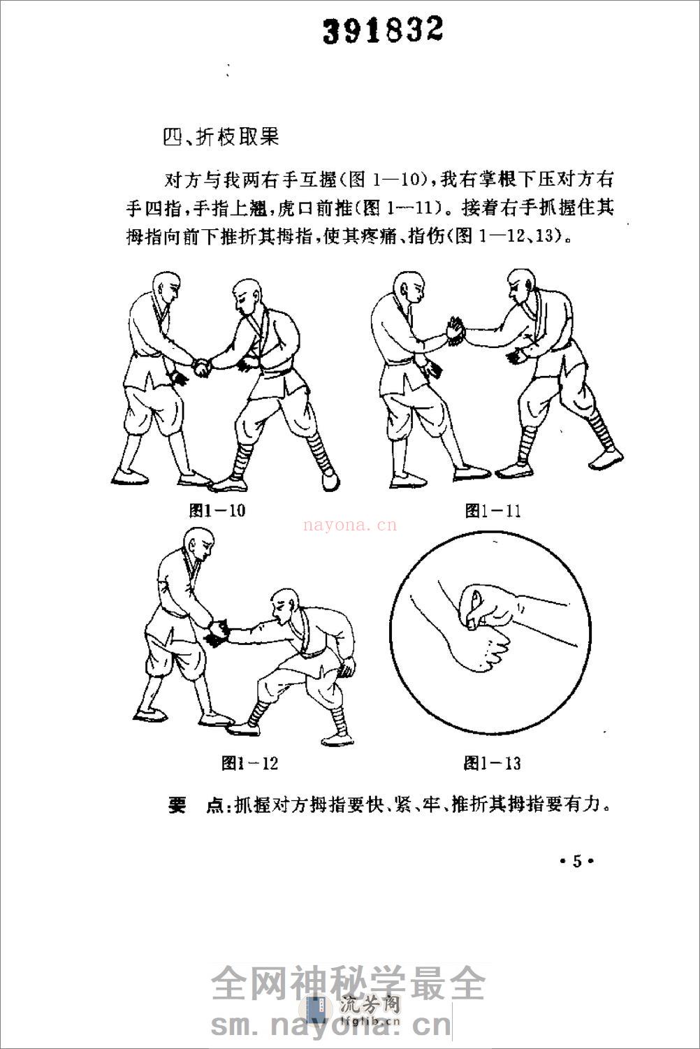 擒拿秘招（安在峰） - 第12页预览图