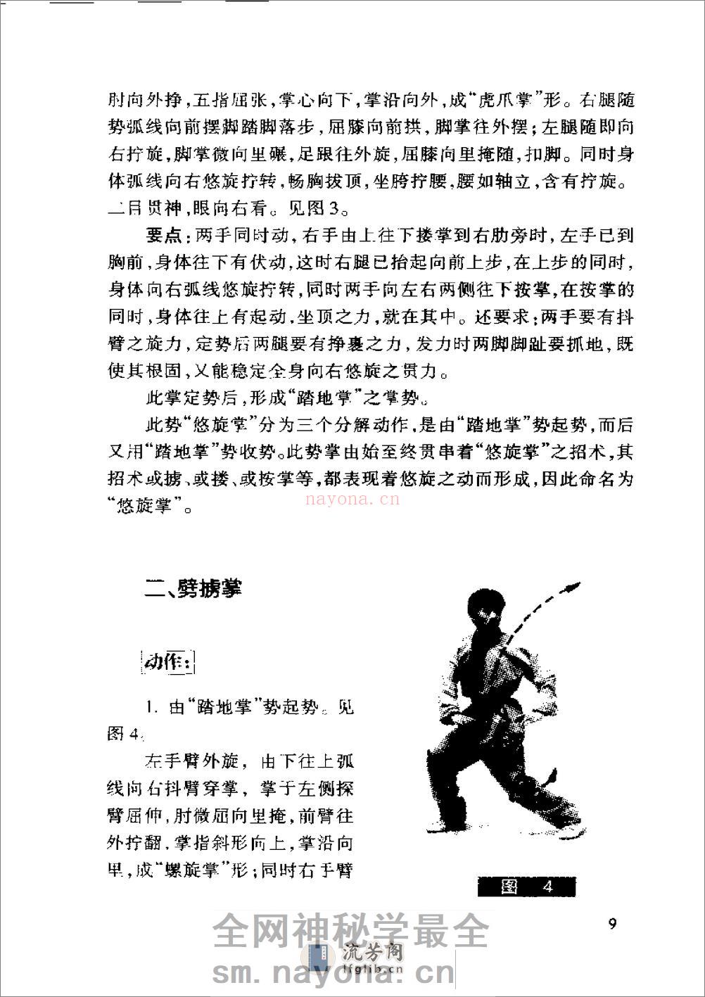 《阴阳八卦掌·狮形掌》田迴、田克延 - 第11页预览图