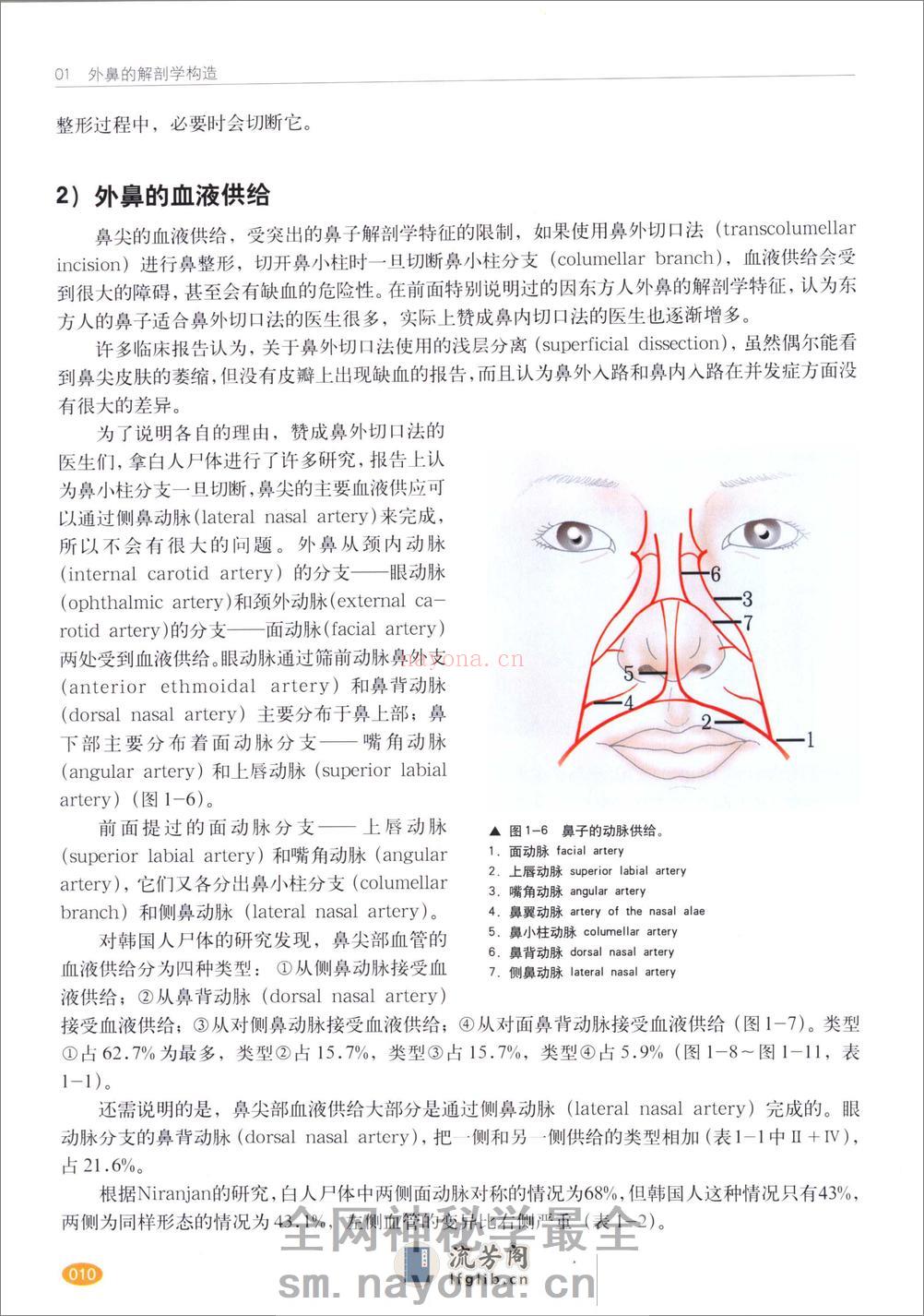 现代韩国鼻整形 - 第12页预览图