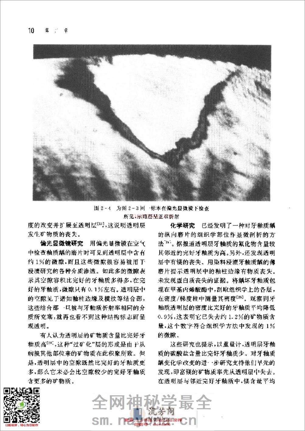 新概念牙体修复学 - 第19页预览图