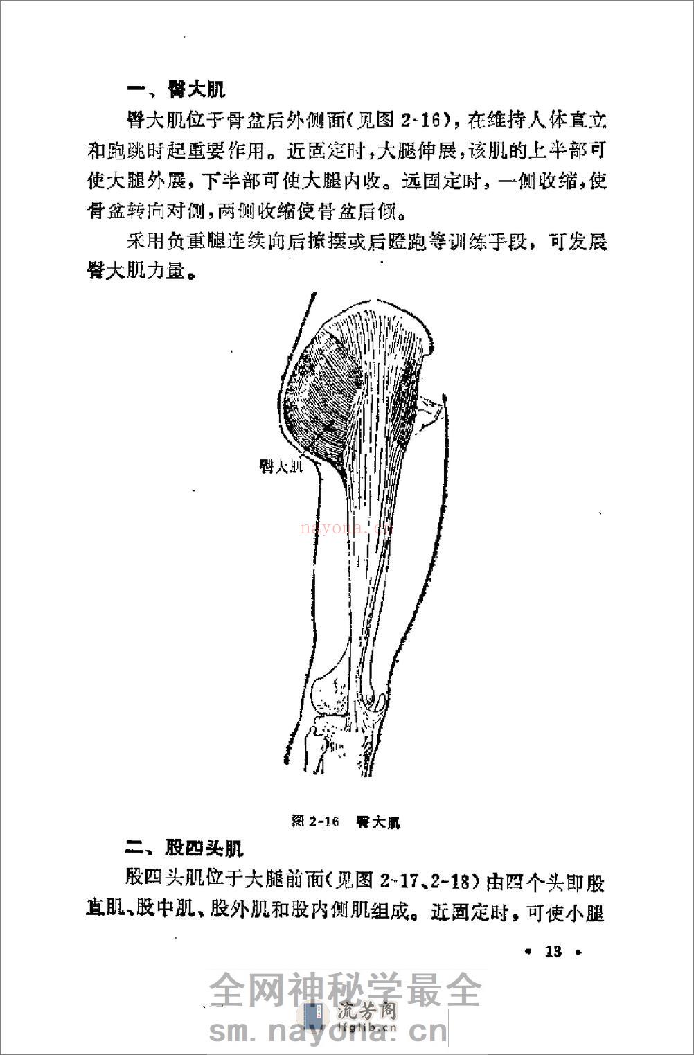 腿法 - 第16页预览图