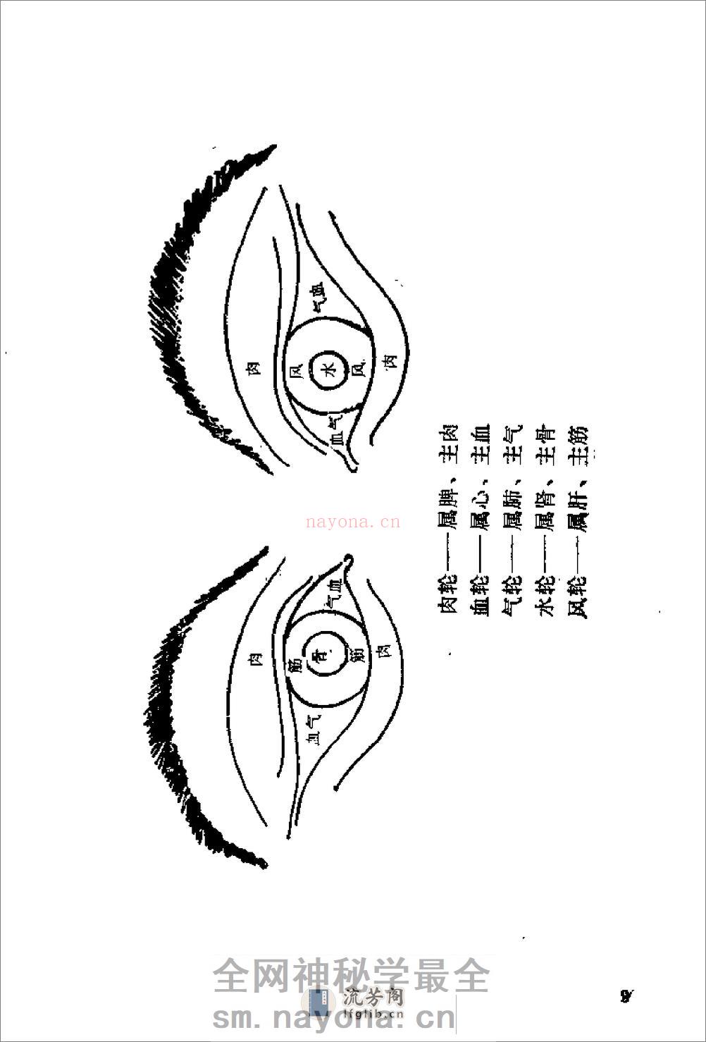 [中华武当明目功].裴锡荣 - 第16页预览图