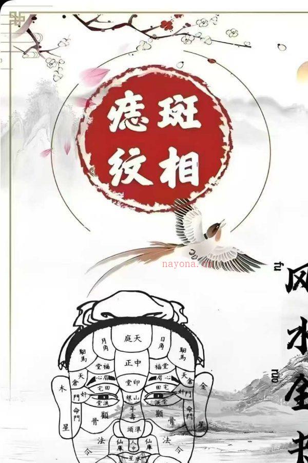 痣斑面相秘笈《痣斑纹相风水全书》PDF文档510页