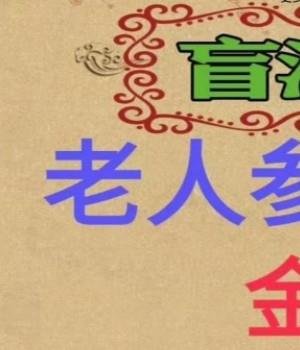 老人参盲派命理《理论精华》233页pdf插图