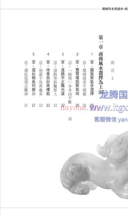 藏风得水鸿运来-商务实用篇 巨天中 324页.pdf