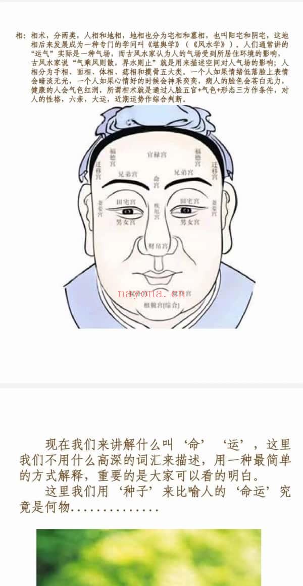 图文解说算命行业 30页.PDF电子版