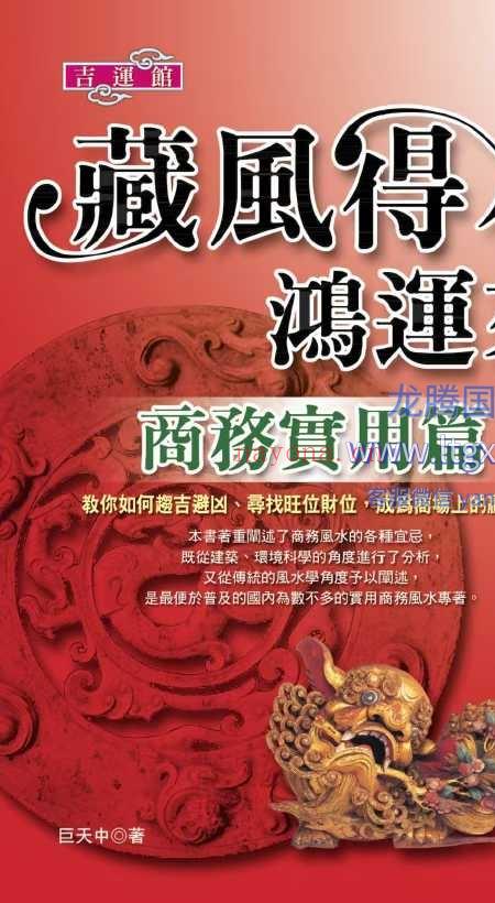 藏风得水鸿运来-商务实用篇 巨天中 324页.pdf