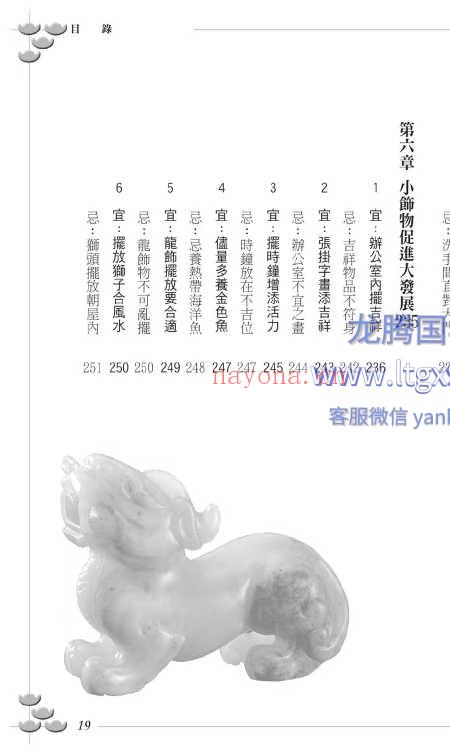 藏风得水鸿运来-商务实用篇 巨天中 324页.pdf