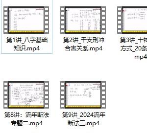黄友健 字流年断法视频9节+资料插图