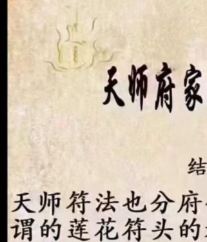 紫宸 天师府家传 第三期插图