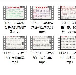 道门秘传 紫微斗数实战课程_20插图