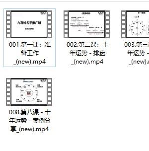 廉破府廉颇府九宫姓名学 -流年运势实操篇8集Y插图1