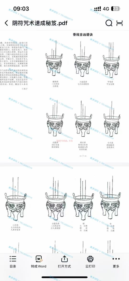 (道教符箓)《阴符咒术速成秘笈》双页版 PDF电子版