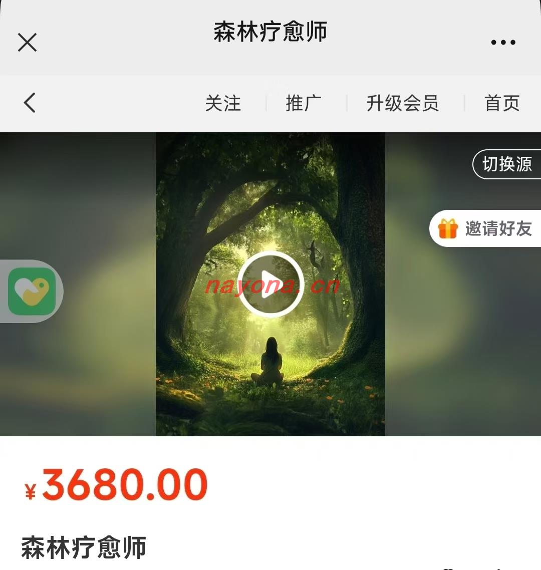 森林疗愈师 | 让我们的身心灵更加贴近大自然